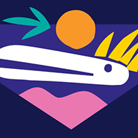 odwalla portfolio piece